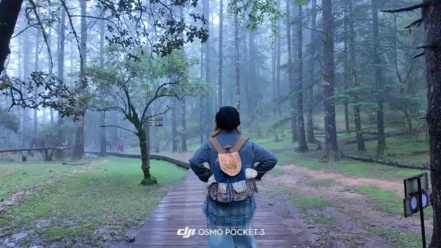 森林秘境