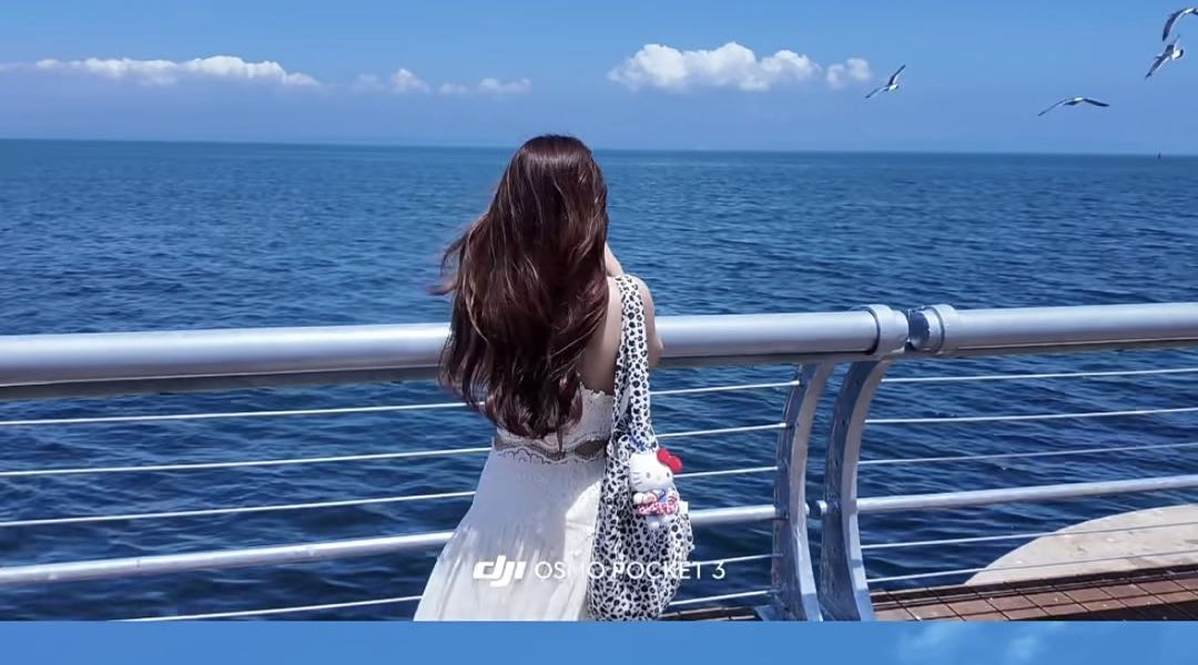 海边海鸥