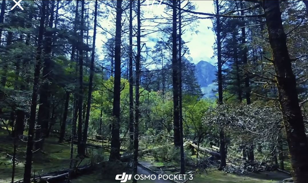 雪山牧场